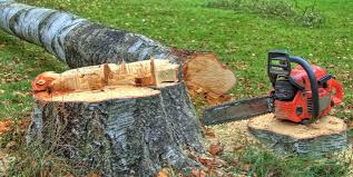 Best Lot and Land Clearing  in Cherry Hills Village, CO